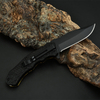 Spring-Assisted Knife