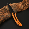 Adventure Folding Knife