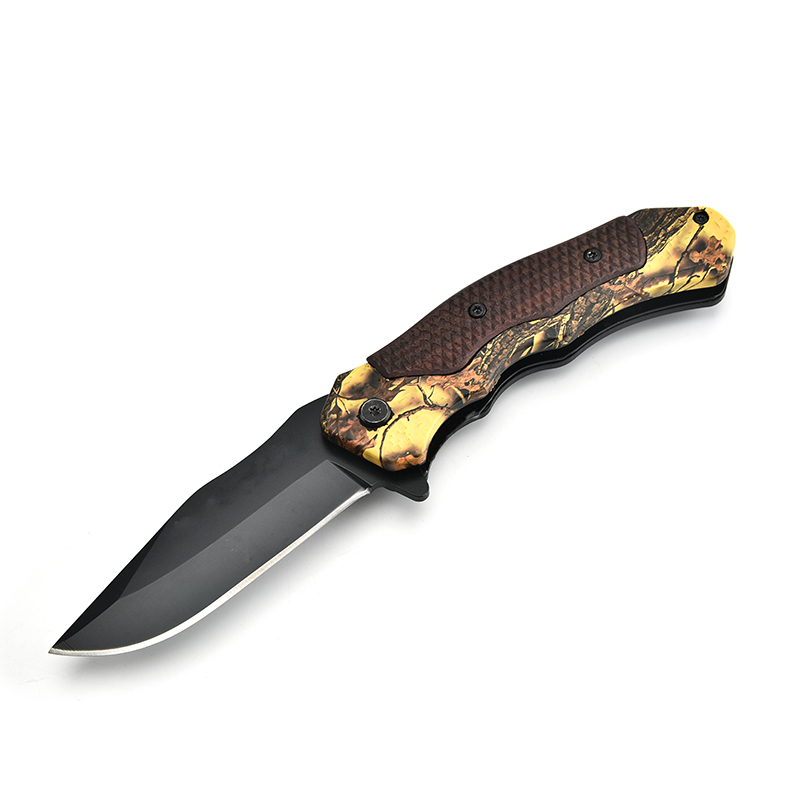 Spring-Assisted Knife