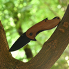Folding Survival Blade