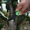 Folding Camping Blade