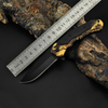 Spring-Assisted Knife