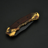 Spring-Assisted Knife