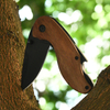 Folding Survival Blade